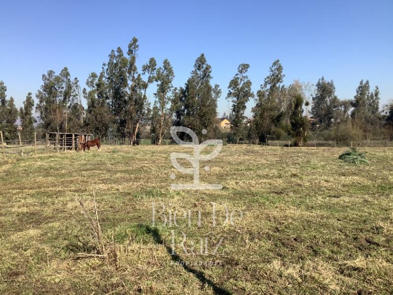 4 HECTREAS EN VILLA ALEGRE, MELIPILLA